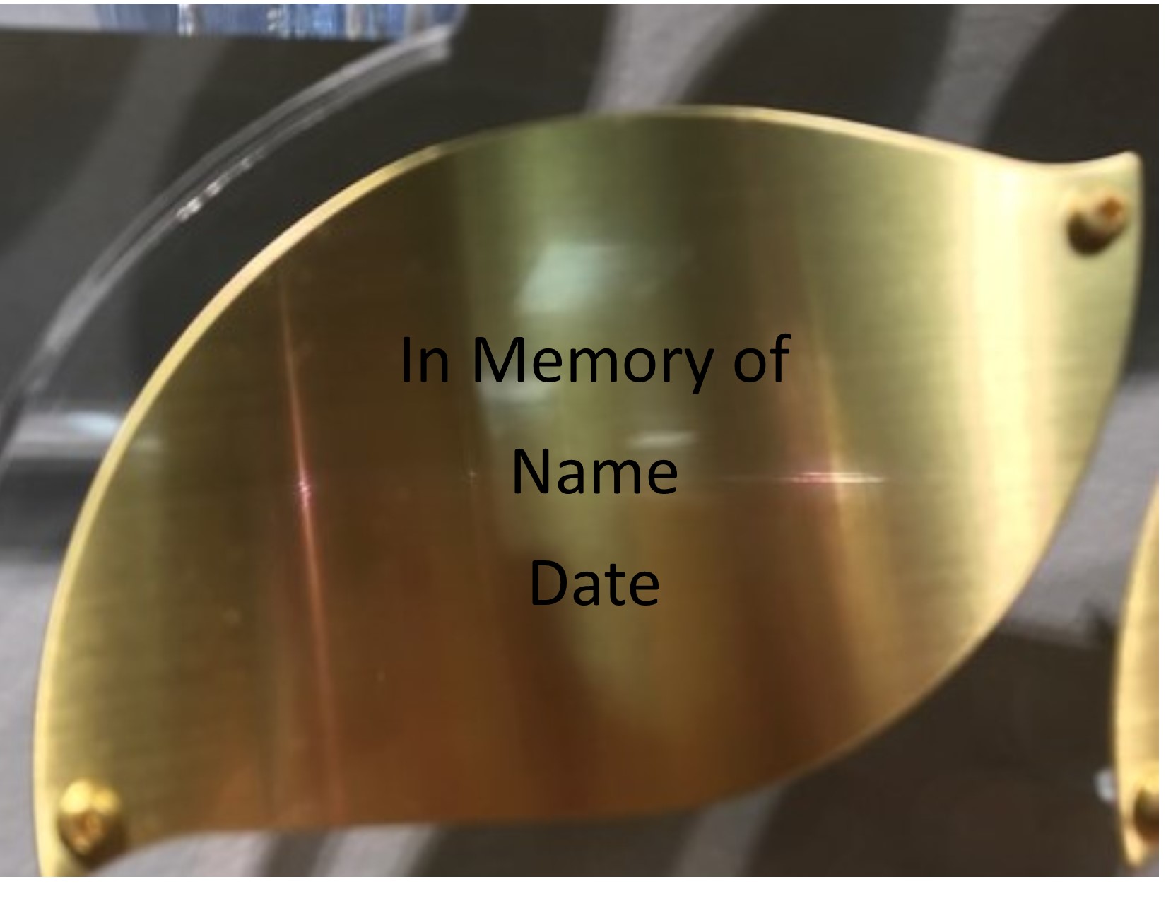 engraved leaf.jpg