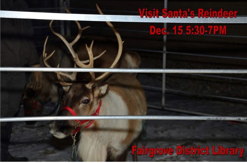 visit reindeer.jpg
